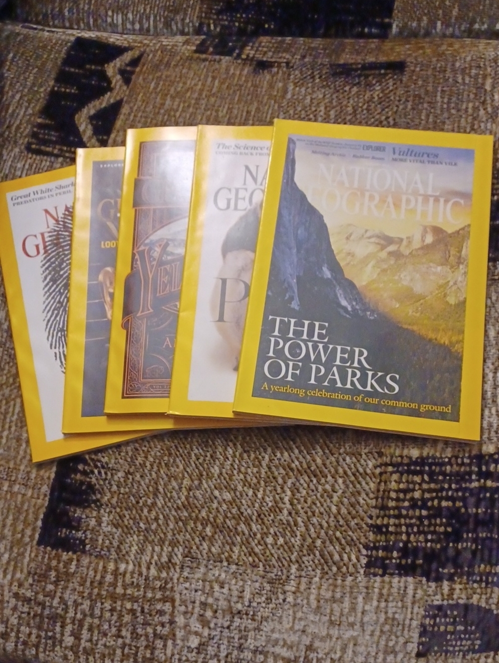 $4 Add-on 2016 National Geographic Magazines - $4 Each (5 Available)